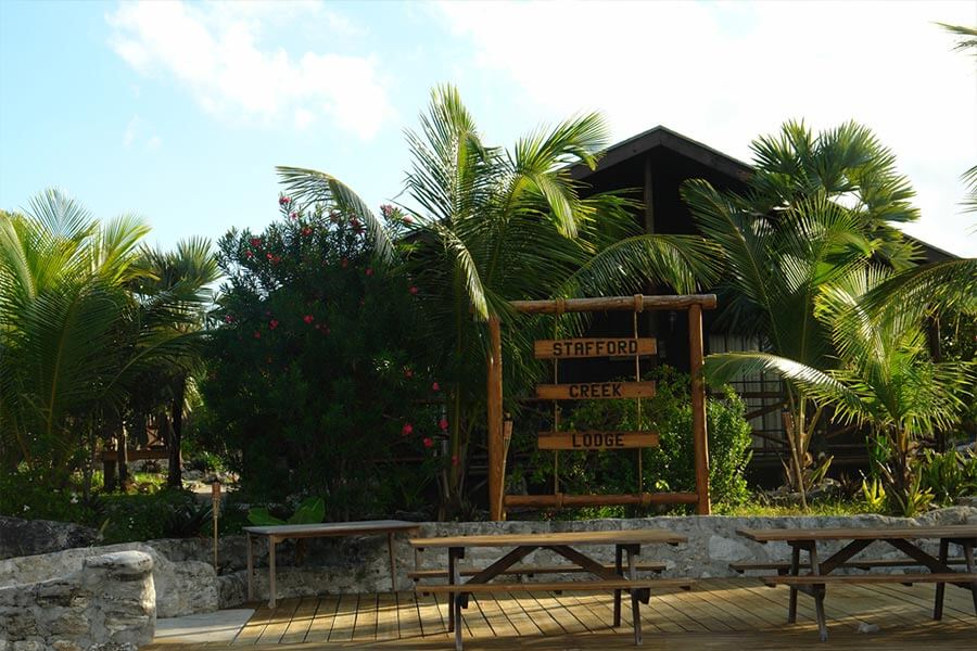 Daily Freight services to the Bahamas with a wooden table and chairs in front of a palm tree.