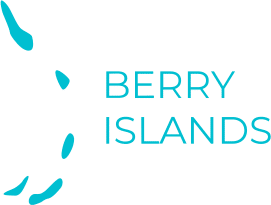 freight forwarding service Berry Islands